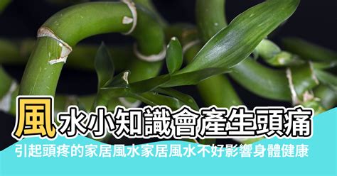 影響健康的風水|風水會影響身體嗎？從空間能量到健康狀態的探討｜魔幻水